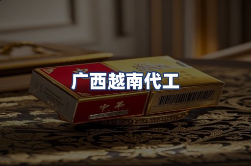 广西越南代工